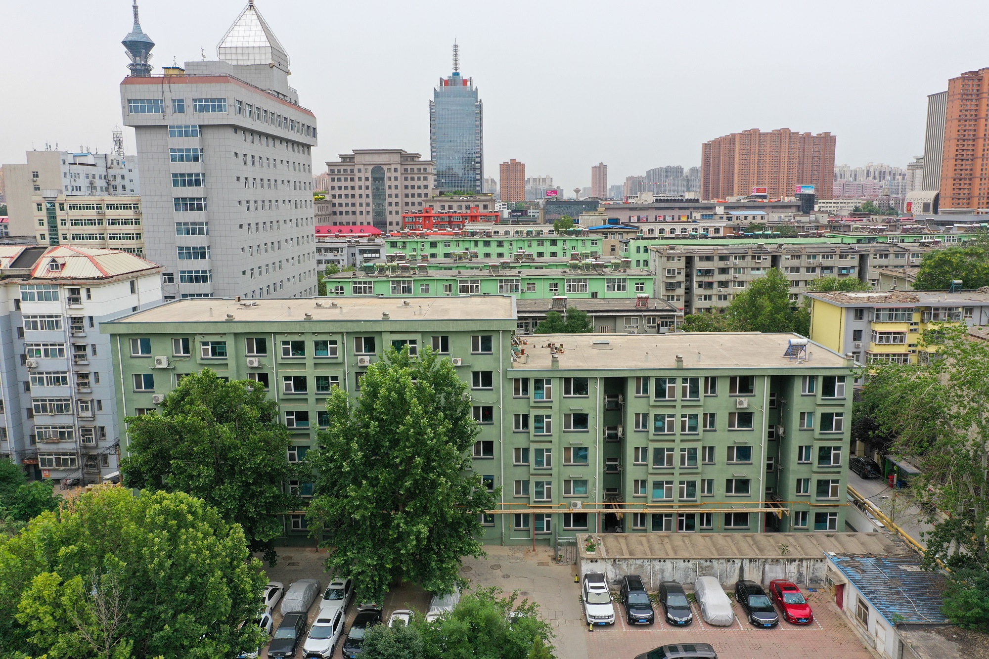 香港六马港澳宝典